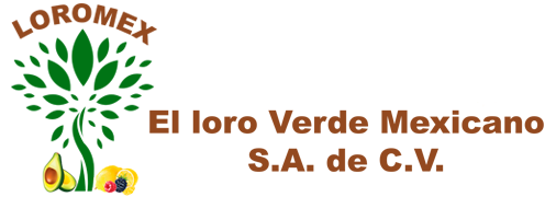 LOROMEX