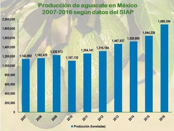 Producción Obtenida (ton)